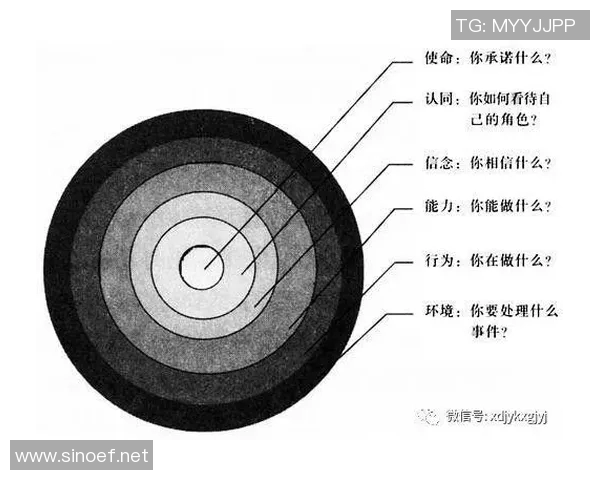 基于个人兴趣与技能提升的全方位自主项目实践与探索路径分析