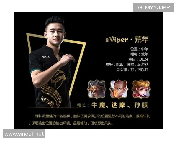 王者荣耀战术新解析JDG战队如何引领潮流成就巅峰对决