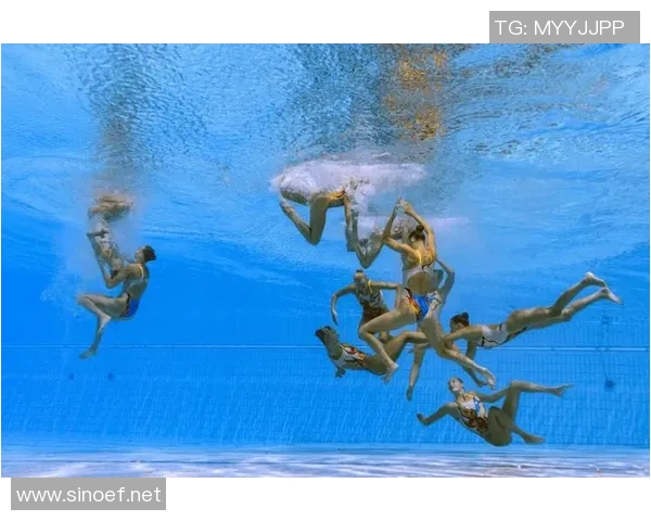 游泳比赛规则详解及常见违规行为分析