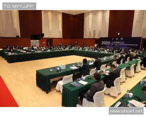 重庆飞盘队的战术意识与团队协作探讨及其对比赛表现的影响分析