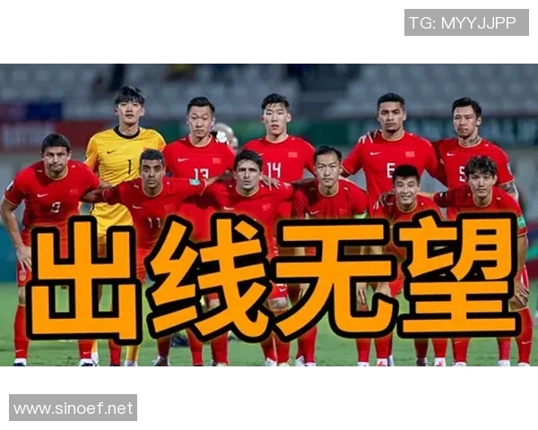 上海网球队崛起之路：从青涩到辉煌的成长历程揭秘